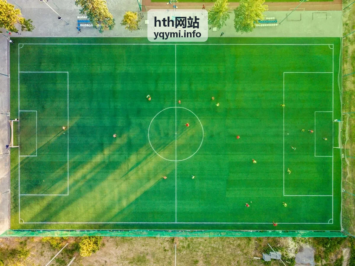 hth网站内容种草指南中的品牌案例展示